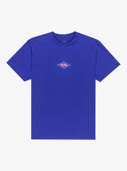 quiksilver, Ev Swell Ovation - Camiseta de manga corta para hombre, SURF THE WEB (prm0) Ev Swell Ovation - Short Sleeve T-Shirt for Men  EQYZT08187