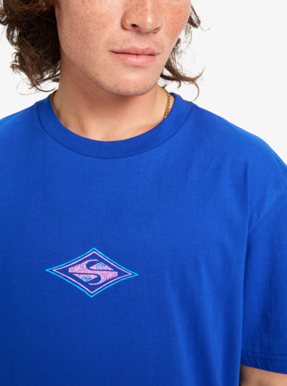 quiksilver, Ev Swell Ovation - Camiseta de manga corta para hombre, SURF THE WEB (prm0) Ev Swell Ovation - Short Sleeve T-Shirt for Men  EQYZT08187