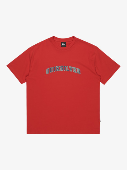quiksilver, Pto Fare Well - Maglietta a maniche corte da Uomo, SALSA (rzm0) Pto Fare Well - Short Sleeve T-Shirt for Men  EQYZT08197