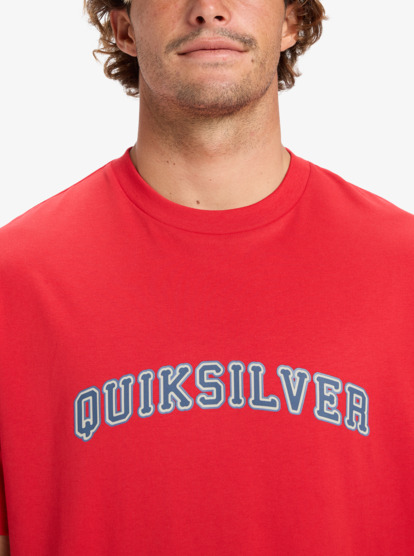 quiksilver, Pto Fare Well - Maglietta a maniche corte da Uomo, SALSA (rzm0) Pto Fare Well - Short Sleeve T-Shirt for Men  EQYZT08197
