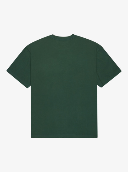 quiksilver, Salt Water - T-Shirt à manches courtes pour Homme, TREKKING GREEN (tkr) Salt Water - Short Sleeve T-Shirt for Men  EQYZT08204