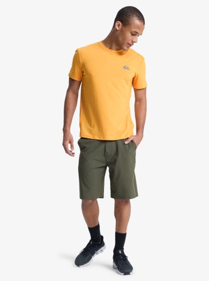 Caecilian  EQYZT08292