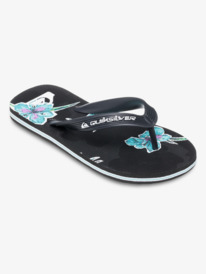 aqbl100624_quiksilver,