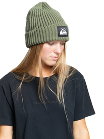 0 Quiksilver Womens The Beanie - Recycled Beanie for Women  EQWHA03021 Roxy