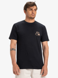 eqyzt08039_quiksilver,