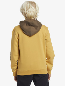 quiksilver, Logo - Pullover Hoodie for Boys 8 - 16, FALL LEAF (yjg0) Logo - Pullover Hoodie for Boys 8 - 16  AQBFT03108