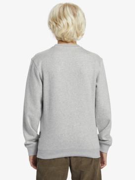 quiksilver, Graphic - Pullover Sweatshirt for Boys 8 - 16, LIGHT GREY HEATHER (sjsh) Graphic - Pullover Sweatshirt for Boys 8 - 16  AQBFT03110