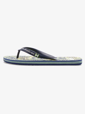 Molokai Art Gregg Kaplan - Flip-Flops for Men  AQYL101264