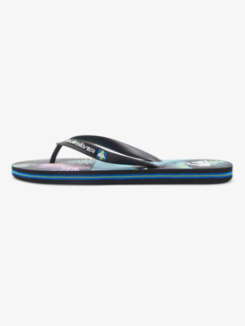 Molokai Art Gregg Kaplan - Flip-Flops for Men  AQYL101264