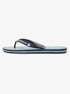 Molokai Art Gregg Kaplan - Flip-Flops for Men  AQYL101264