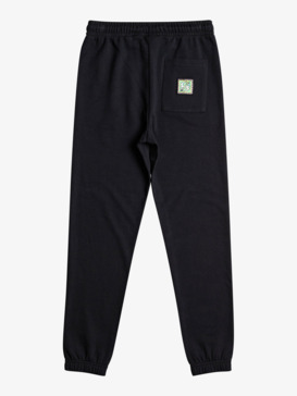 Radical Times - Joggers for Boys  EQBFB03137