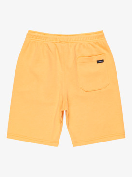 Easy Day - Elastic Waist Shorts for Boys 8 - 16  EQBFB03174