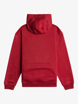 Graphic - Hoodie for Boys 8-16  EQBFT03845