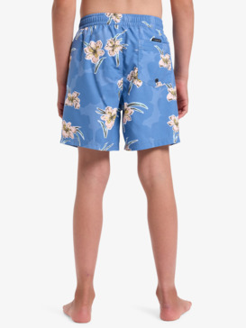 quiksilver, Everyday Straight Volley Yth14" - Swim Shorts for Boys 8-16, BACKYARDS CORONET BLUE - BLQ7 (blq7) Everyday Straight Volley Yth14" - Swim Shorts for Boys 8-16  EQBJV03501