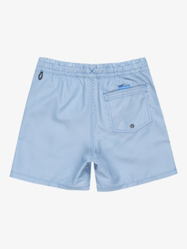 Everyday Deluxe 14" - Swim Shorts for Boys 8 - 16  EQBJV03513