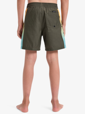 quiksilver, Everyday Holmes 14" - Swim Shorts for Boys 8 - 16, GRAPE LEAF HOLMES (cre6) Everyday Holmes 14" - Swim Shorts for Boys 8 - 16  EQBJV03516
