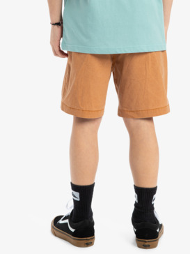 quiksilver, Taxer Youth 15" - Elastic Waist Walkshorts for Boys 8 - 16, BRAN (cmn0) Taxer Youth 15" - Elastic Waist Walkshorts for Boys 8 - 16  EQBWS03378