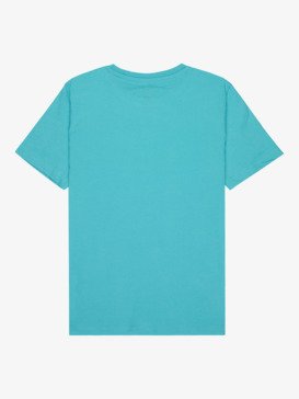 Basic - Short Sleeve T-Shirt for Boys 8-16  EQBZT04746