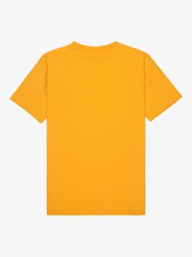 Basic - Short Sleeve T-Shirt for Boys 8-16  EQBZT04746