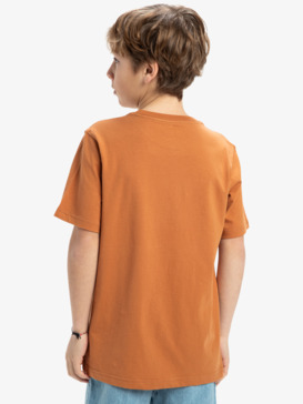 quiksilver, Ev Shape All Days - Short Sleeves T-Shirt for Boys 8 - 16, BRAN (cmn0) Ev Shape All Days - Short Sleeves T-Shirt for Boys 8 - 16  EQBZT04844