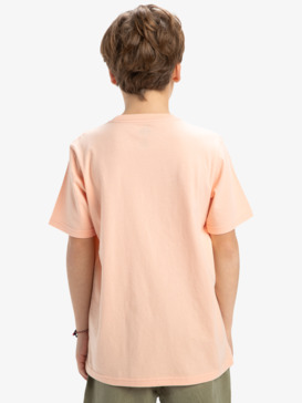 quiksilver, Ev Gradient Box - Short Sleeves T-Shirt for Boys 8 - 16, PEACH PARFAIT (mef0) Ev Gradient Box - Short Sleeves T-Shirt for Boys 8 - 16  EQBZT04848