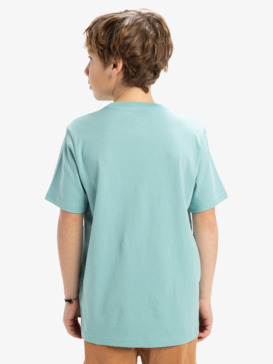 quiksilver, Ev Skull Feast - Short Sleeves T-Shirt for Boys 8 - 16, AQUIFER (bgw0) Ev Skull Feast - Short Sleeves T-Shirt for Boys 8 - 16  EQBZT04850