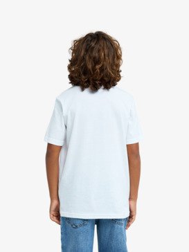 quiksilver, Ev Comp Logo - Short Sleeve T-Shirt for Boys 8-16, WHITE (wbb0) Ev Comp Logo - Short Sleeve T-Shirt for Boys 8-16  EQBZT04897