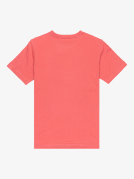 quiksilver, Ev Stay Palm - T-Shirt à manches courtes pour Garçon 8-16 ans, MINERAL RED (mmz0) Ev Stay Palm - Short Sleeve T-Shirt for Boys 8-16  EQBZT04903