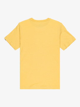 quiksilver, Ev Stay Palm - Short Sleeve T-Shirt for Boys 8-16, RATTAN (yhp0) Ev Stay Palm - Short Sleeve T-Shirt for Boys 8-16  EQBZT04903