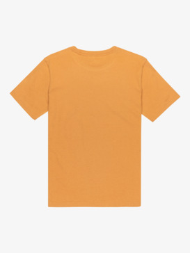 quiksilver, Ev Light Waves - Short Sleeve T-Shirt for Boys 8-16, ALMOND (cmd0) Ev Light Waves - Short Sleeve T-Shirt for Boys 8-16  EQBZT04907