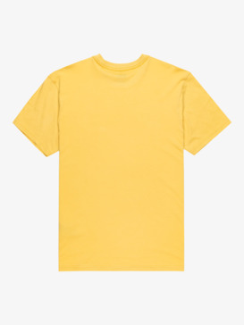 quiksilver, Ev Fineline - Short Sleeve T-Shirt for Boys 8-16, RATTAN (yhp0) Ev Fineline - Short Sleeve T-Shirt for Boys 8-16  EQBZT04936