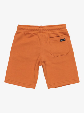 quiksilver, Easy Day - Elastic Waist Shorts for Boys 2 - 7, BRAN (cmn0) Easy Day - Elastic Waist Shorts for Boys 2 - 7  EQKFB03120