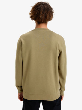 quiksilver, Salt Water - Crew Neck Sweatshirt for Men, ALOE (tmz0) Salt Water - Crew Neck Sweatshirt for Men  EQYFT05109