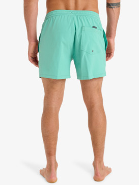 quiksilver, Everyday Flex Volley 15" - Short de natación para hombre, MALACHITE GREEN (gjr0) Everyday Flex Volley 15" - Swim Shorts for Men  EQYJV04127