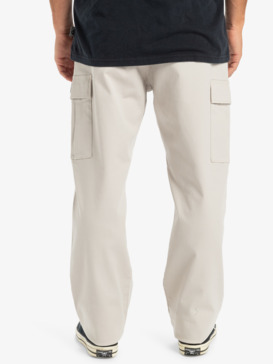quiksilver, Taxer - Cargo Pants for Men, WIND CHIME (sfa0) Taxer - Cargo Pants for Men  EQYNP03317