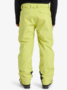 quiksilver, Utility 20K - Funktionelle Snow-Hose für Männer, YELLOW PLUM (yge0) Utility - Technical Snow Pants for Men  EQYTP03235