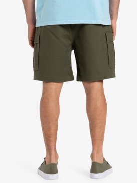 quiksilver, Taxer 19" - Cargo Walkshorts for Men, GRAPE LEAF (cre0) Taxer 19" - Cargo Walkshorts for Men  EQYWS03879