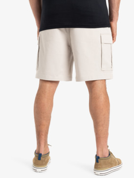 quiksilver, Taxer 19" - Short cargo para Hombre, WIND CHIME (sfa0) Taxer 19" - Cargo Walkshorts for Men  EQYWS03879