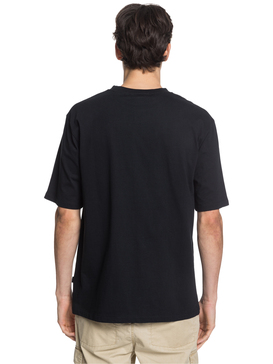 Quiksilver - T-Shirt for Men  EQYZT06007