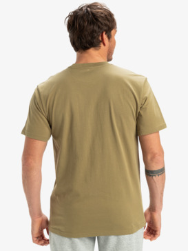 quiksilver, Ev Three Seas - Short Sleeves T-Shirt for Men, ALOE (tmz0) Ev Three Seas - Short Sleeves T-Shirt for Men  EQYZT08051