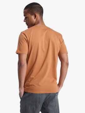 quiksilver, Ev Shape All Day - Short Sleeves T-Shirt for Men, BRAN (cmn0) Ev Shape All Day - Short Sleeves T-Shirt for Men  EQYZT08052