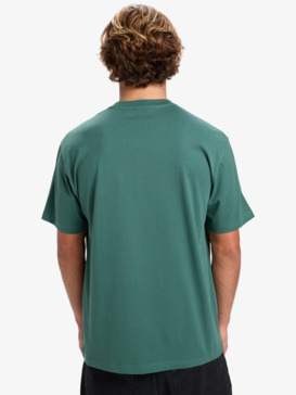 quiksilver, Pto Fare Well - Camiseta de manga corta para hombre, TREKKING GREEN (tkr) Pto Fare Well - Short Sleeve T-Shirt for Men  EQYZT08197