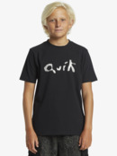 aqbzt04450_quiksilver,