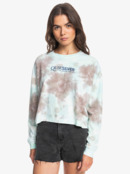 eqwzt03069_quiksilver,