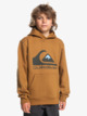 Big Logo - Pullover Hoodie for Boys 8-16  AQBFT03099