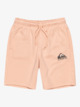 Easy Day - Elastic Waist Shorts for Boys 8 - 16  EQBFB03174