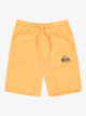 Easy Day - Elastic Waist Shorts for Boys 8 - 16  EQBFB03174