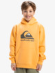 Big Logo - Pullover Hoodie for Boys 8 - 16  EQBFT03925