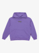 APOG Heritage - Pullover Hoodie for Boys 8 - 16  EQBFT03932