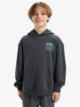 APOG Heritage - Pullover Hoodie for Boys 8 - 16  EQBFT03932